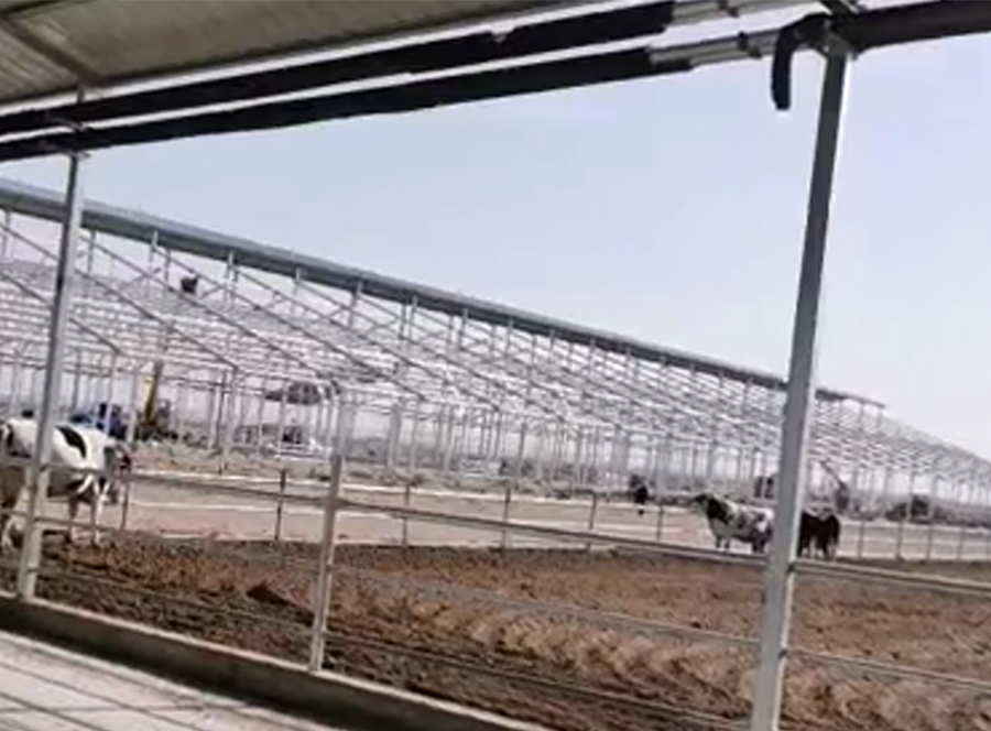 1622097388681477.jpg 牛棚拖鏈.jpg